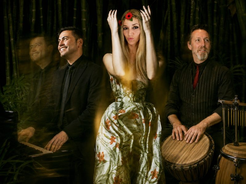 MIAS Groupe – Concert exterieur nuit